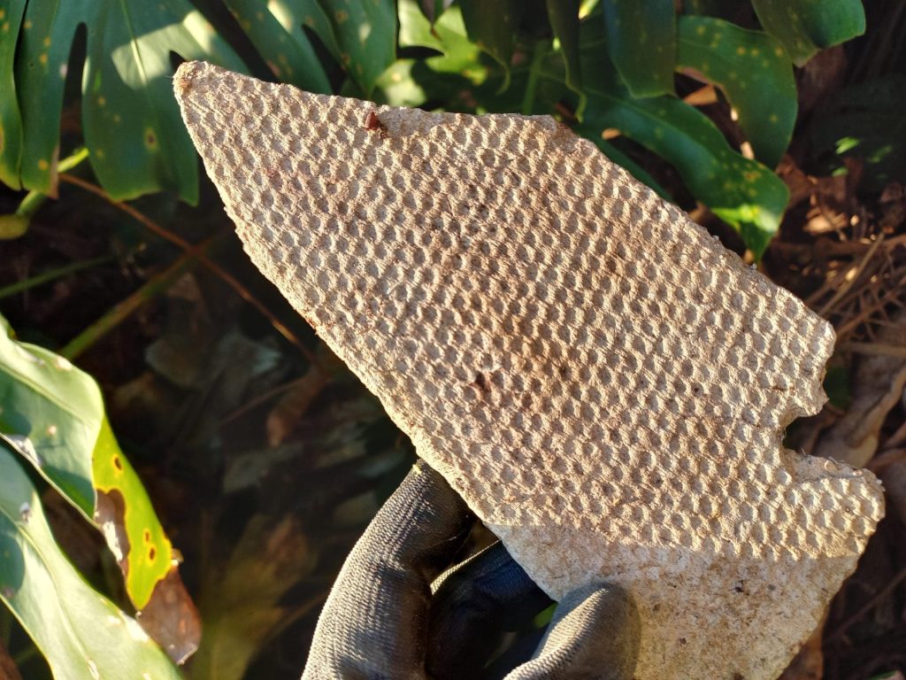 Asbestos Testing & Hazardous materials inspection