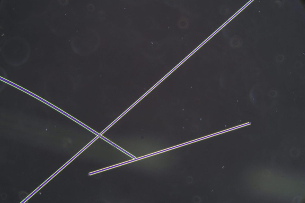 Asbestos Testing Micrograph