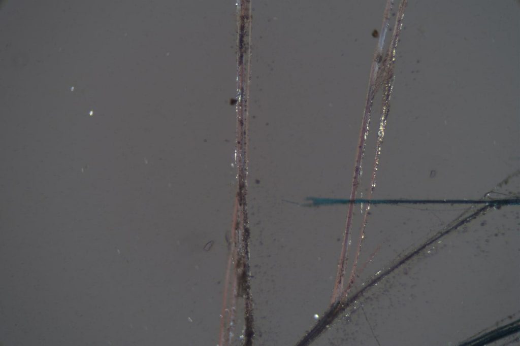 NATA Accredited Asbestos Analysis & Asbestos Testing fibre identification