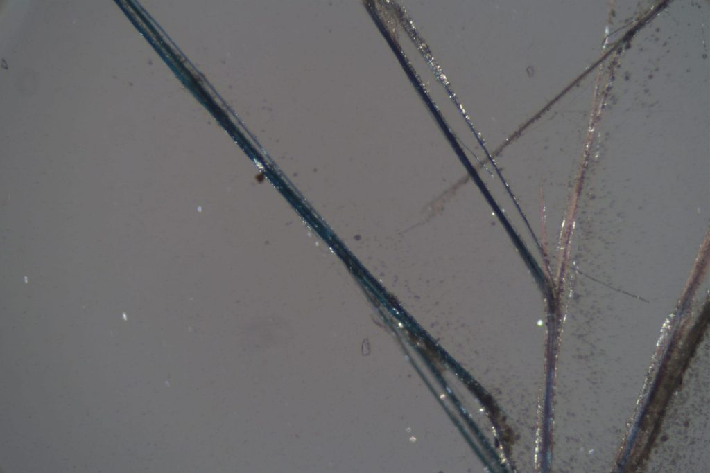 Asbestos Testing-Crocidolite