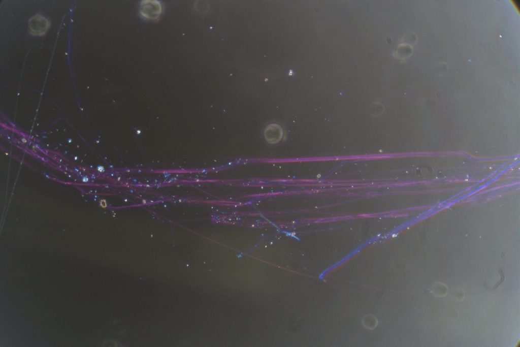 Asbestos Testing-Chrysotile