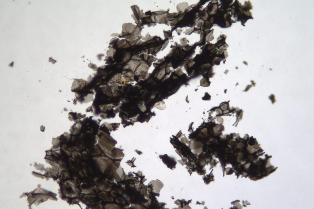 Soot, char ash sample analysis