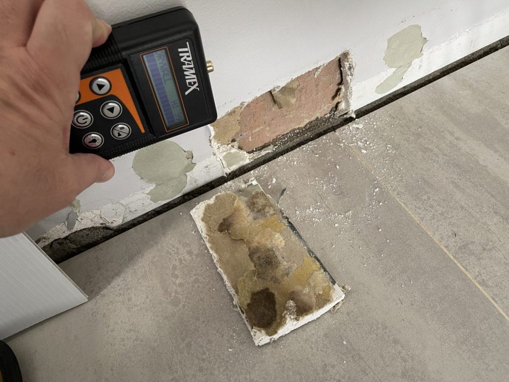 Dampness & Mould Inspection