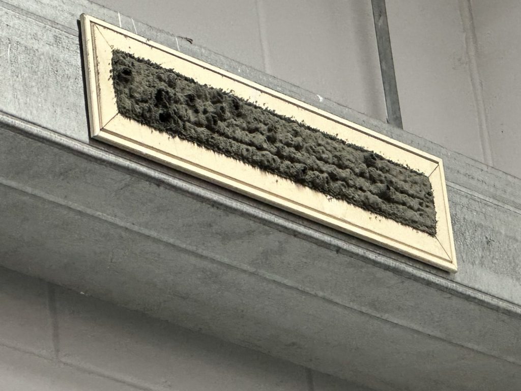 Occupational Hygiene Consulting-Air Quality