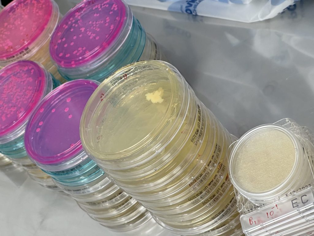 Mould, yeast bacteria testing