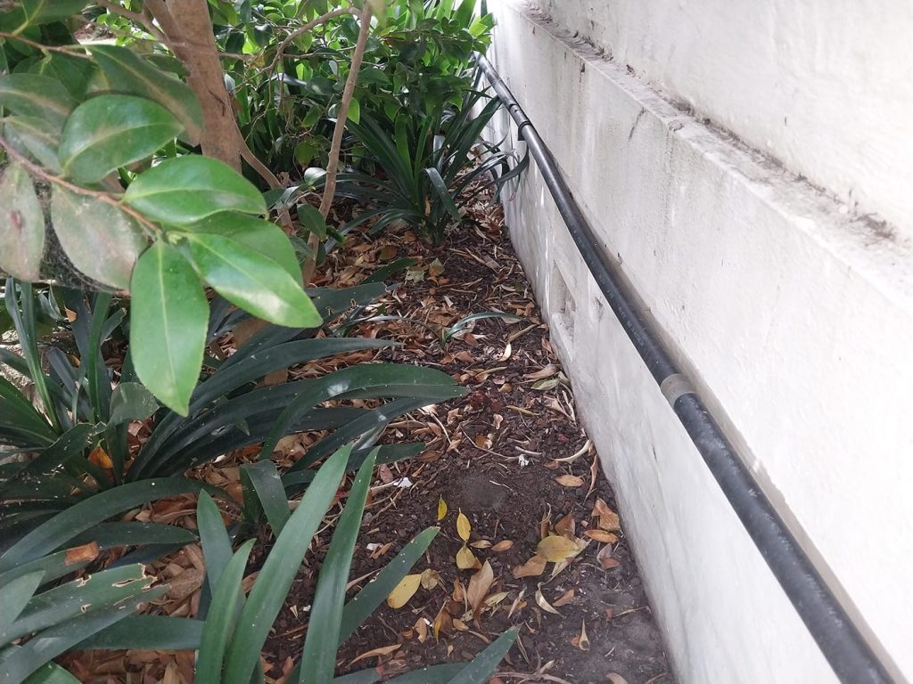 Lead Paint Inspection Testing