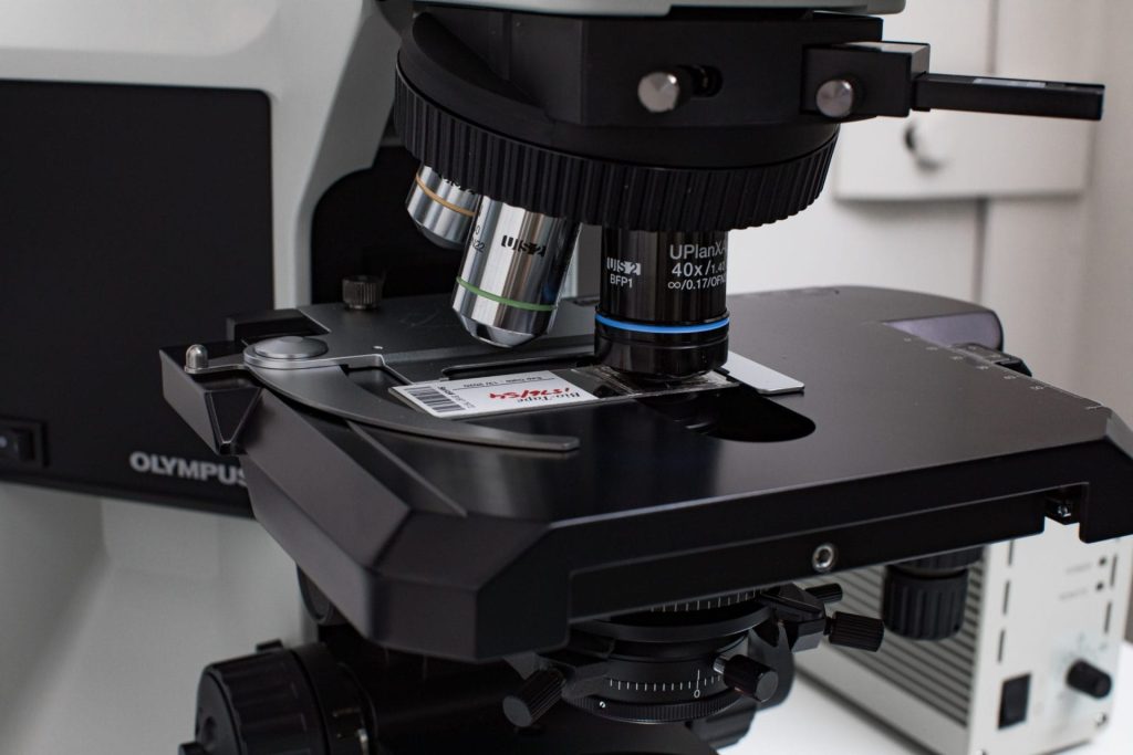 SESALAB Mould Testing