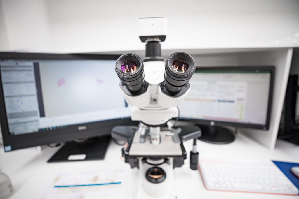 Mould Testing Laboratory