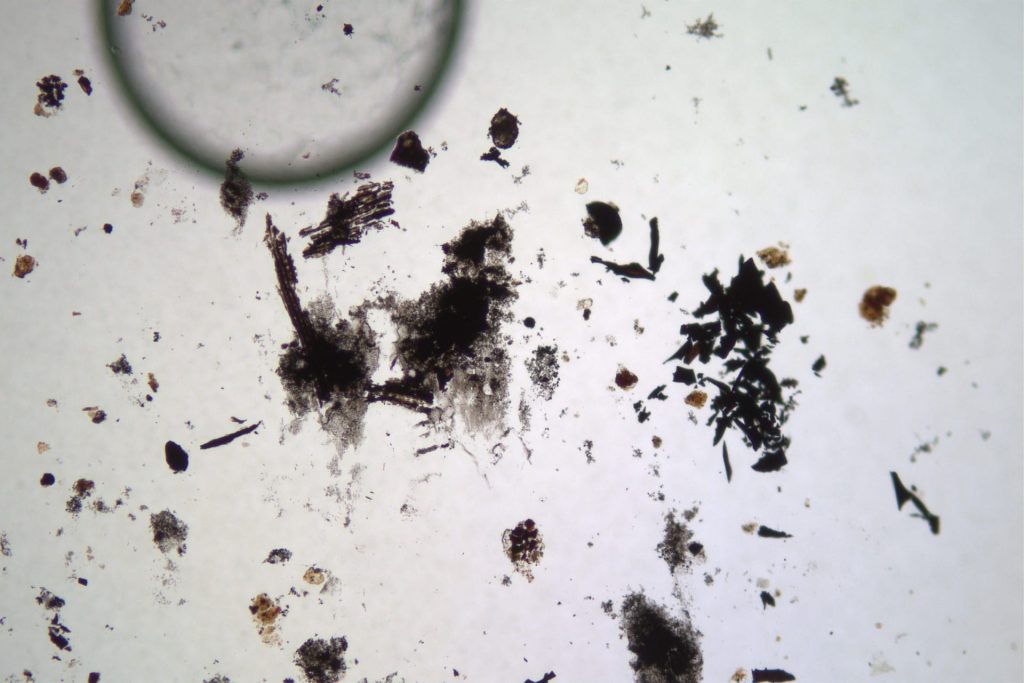 Soot-Char Sample Analysis