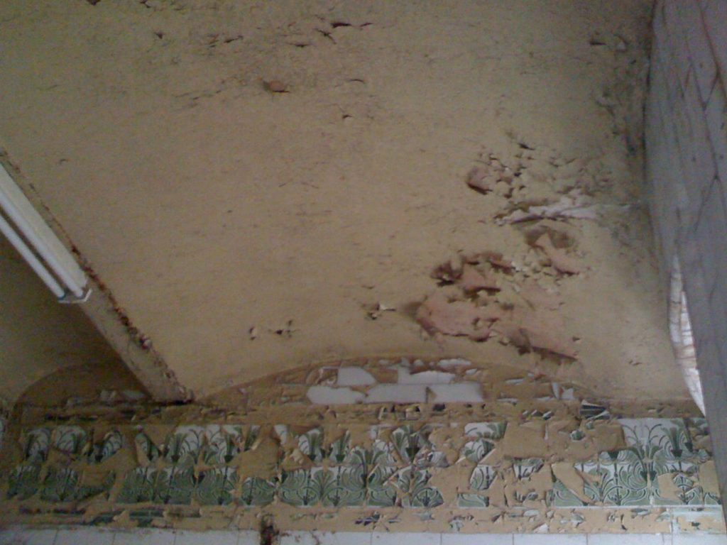 Hazardous Materials Survey-Lead paint