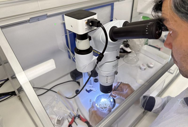 Asbestos Sample Testing