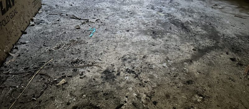 Hazardous Materials Hygienist